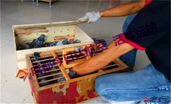 成都小鳥航空運輸